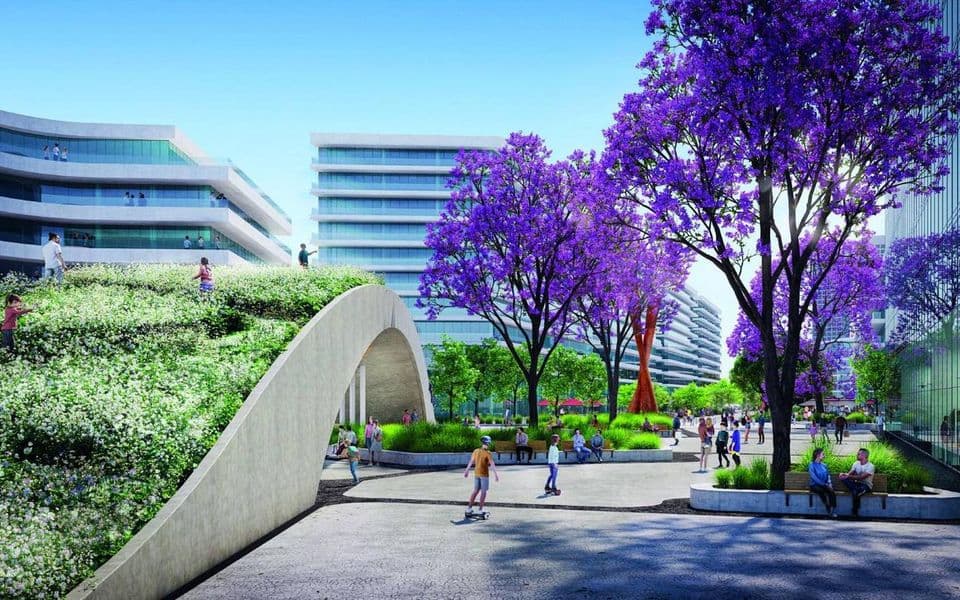Plaza del puente con jacarandás y paseo peatonal